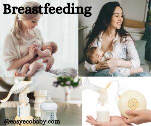 Breastfeeding.  Breastfeeding vs Bottle Feeding